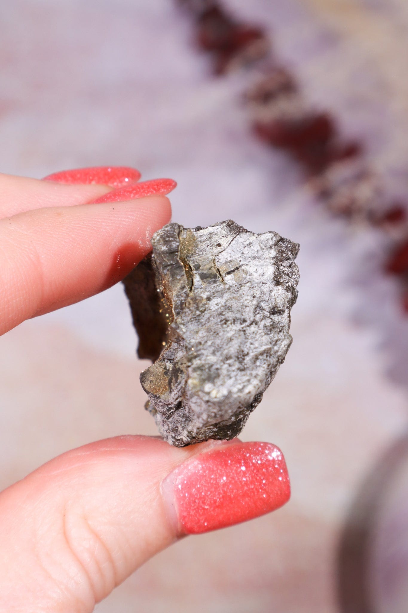 Permineralized Wood with Marcasite 33g Fossil Tali & Loz Crystals