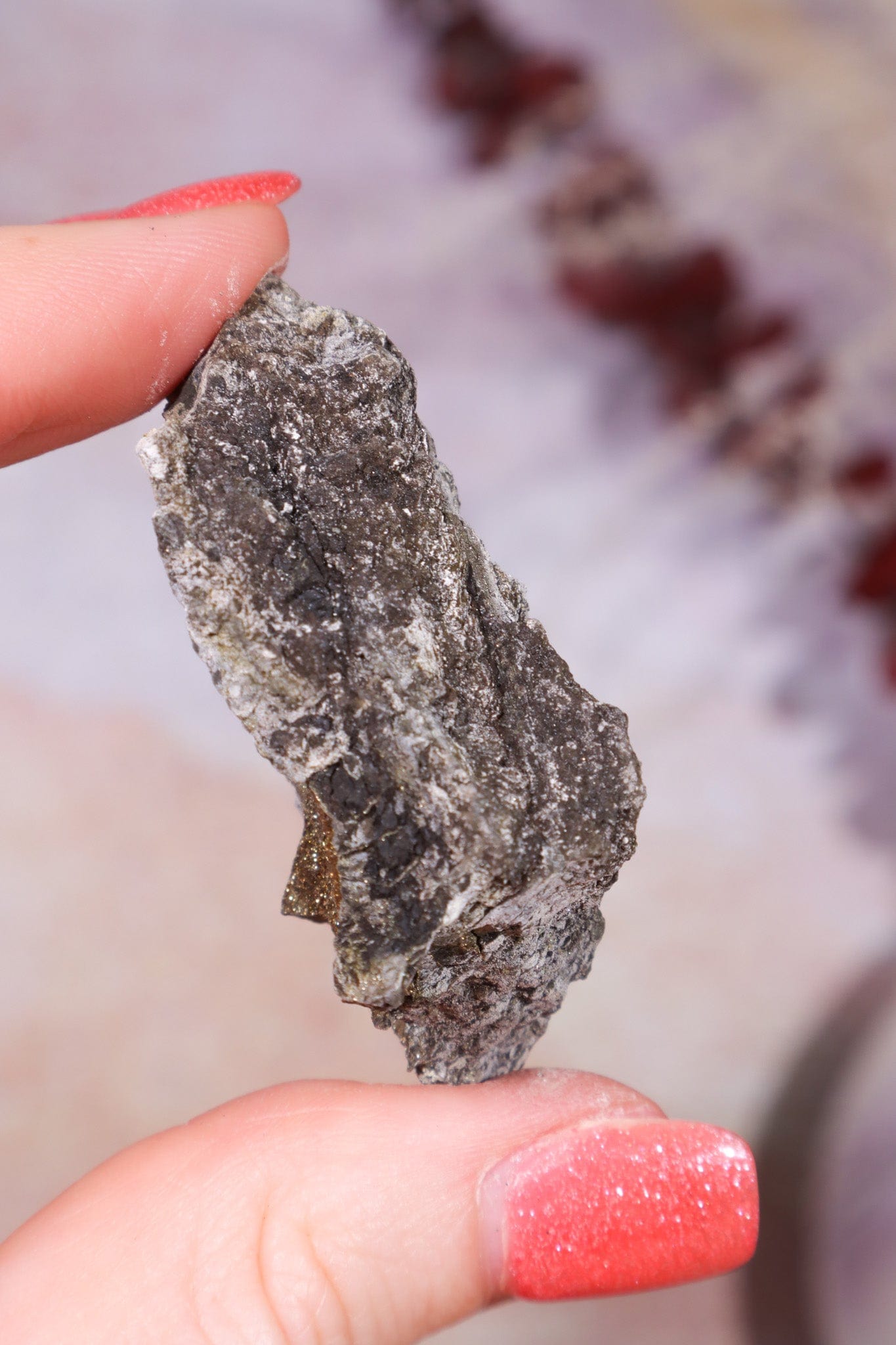 Permineralized Wood with Marcasite 33g Fossil Tali & Loz Crystals