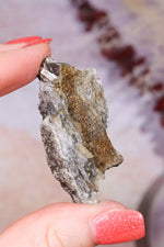 Permineralized Wood with Marcasite 33g Fossil Tali & Loz Crystals