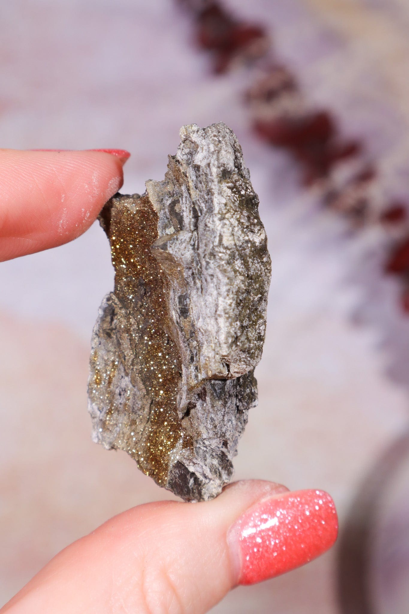 Permineralized Wood with Marcasite 33g Fossil Tali & Loz Crystals