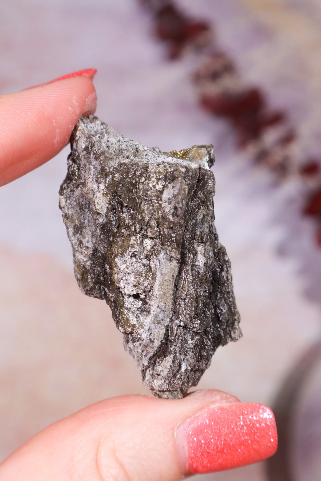 Permineralized Wood with Marcasite 33g Fossil Tali & Loz Crystals