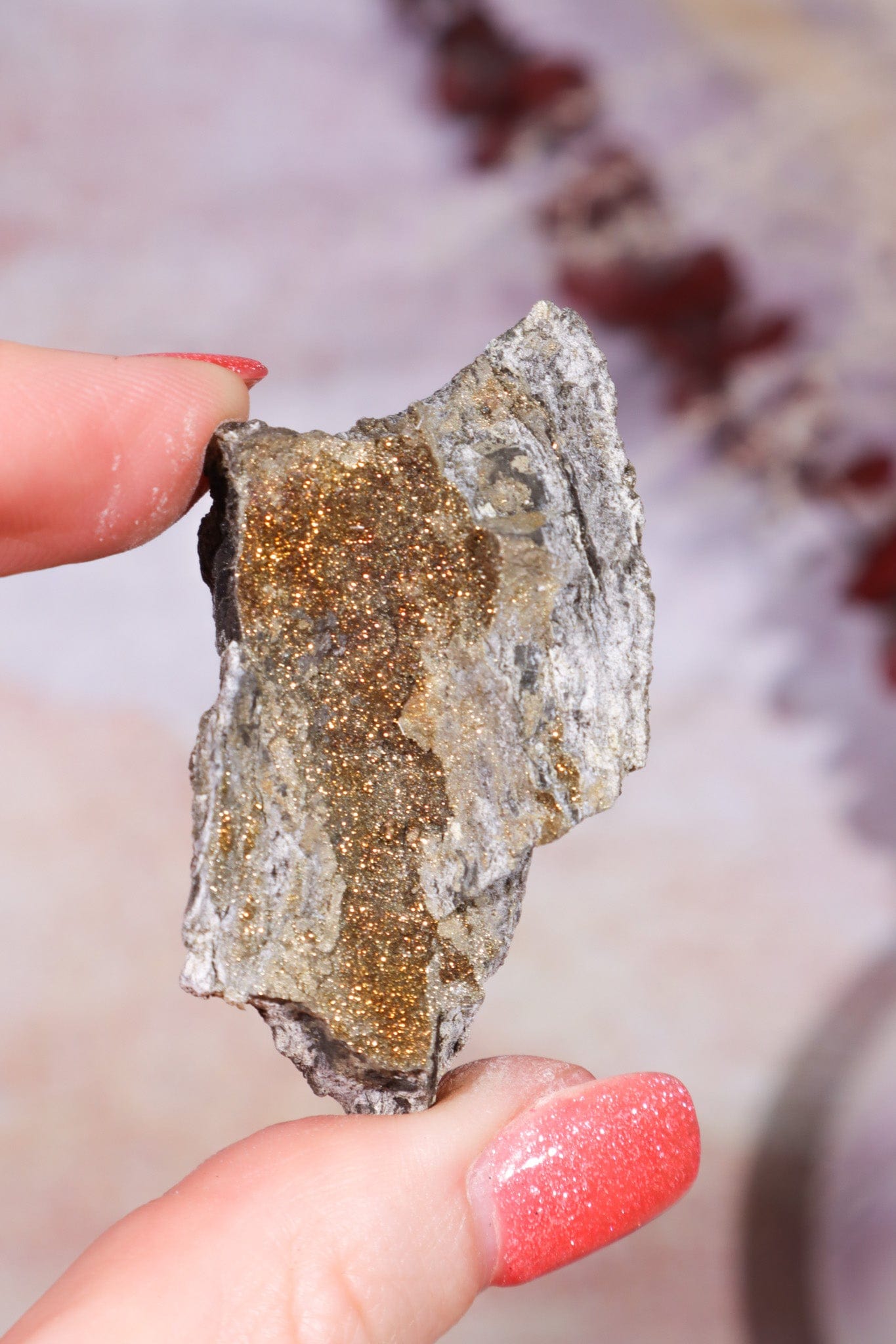 Permineralized Wood with Marcasite 33g Fossil Tali & Loz Crystals