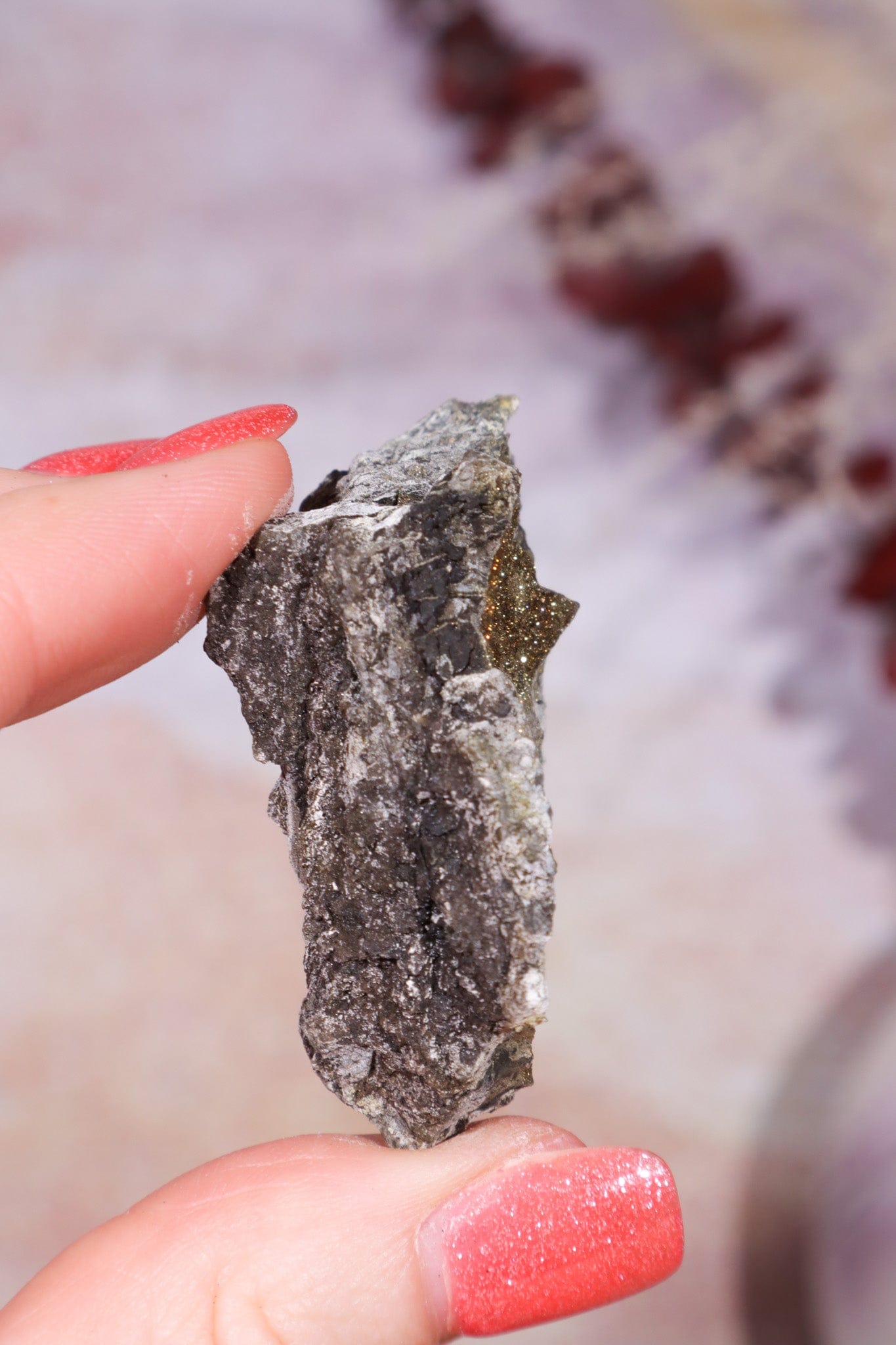 Permineralized Wood with Marcasite 33g Fossil Tali & Loz Crystals