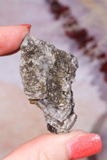 Permineralized Wood with Marcasite 33g Fossil Tali & Loz Crystals