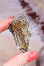 Permineralized Wood with Marcasite 33g Fossil Tali & Loz Crystals