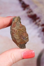 Permineralized Wood with Marcasite 37.1g Fossil Tali & Loz Crystals