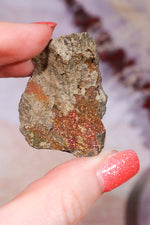 Permineralized Wood with Marcasite 37.1g Fossil Tali & Loz Crystals