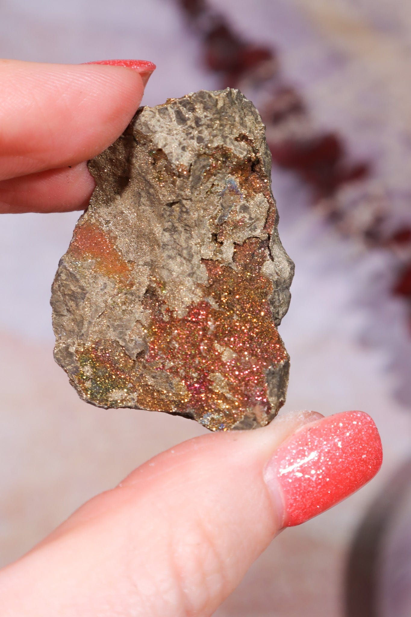 Permineralized Wood with Marcasite 37.1g Fossil Tali & Loz Crystals