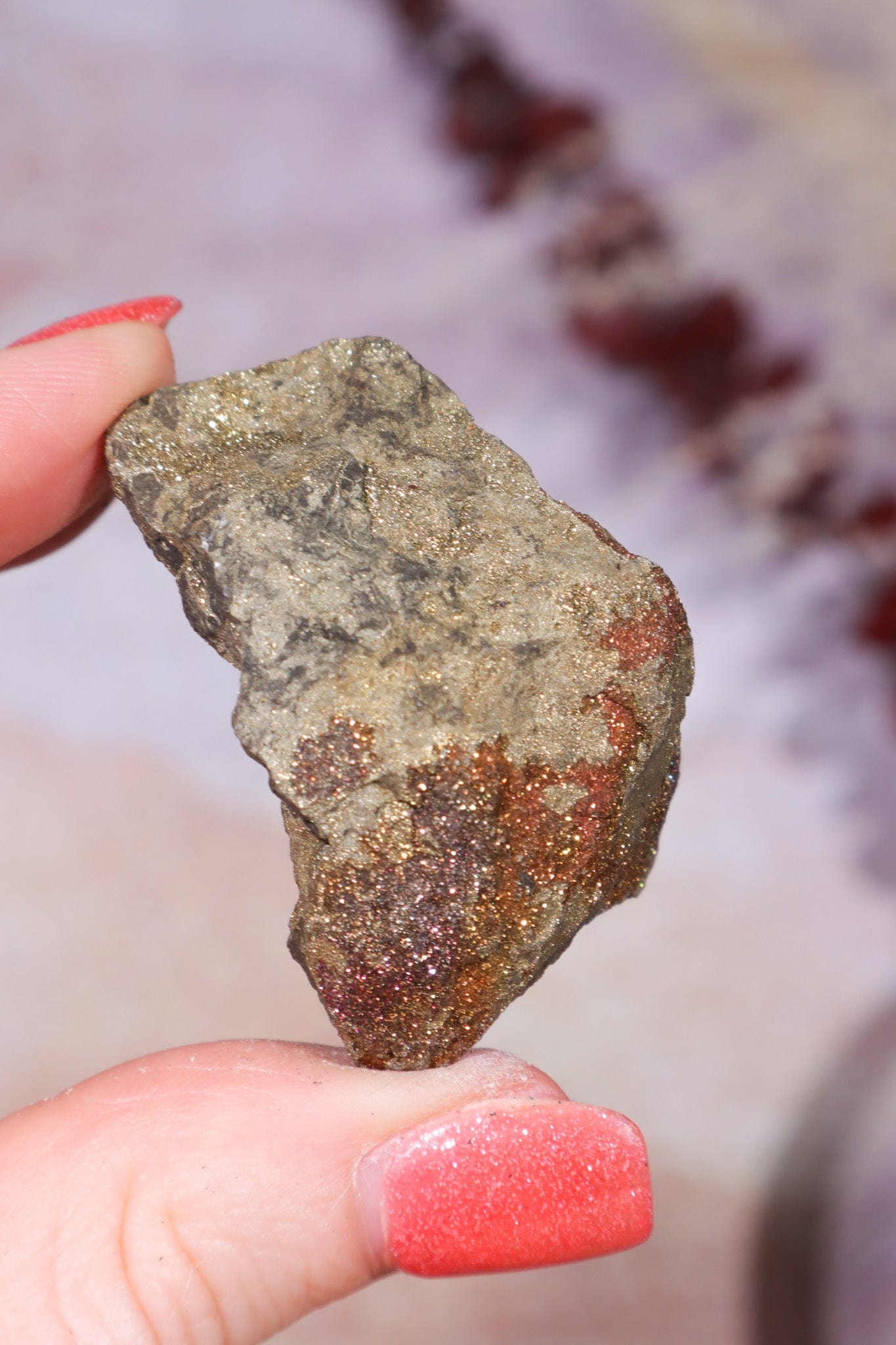 Permineralized Wood with Marcasite 37.1g Fossil Tali & Loz Crystals