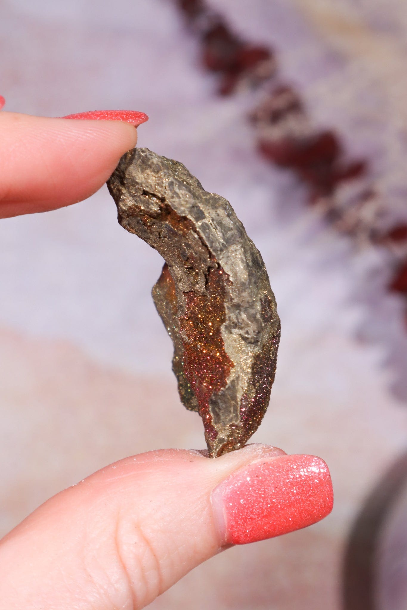 Permineralized Wood with Marcasite 37.1g Fossil Tali & Loz Crystals