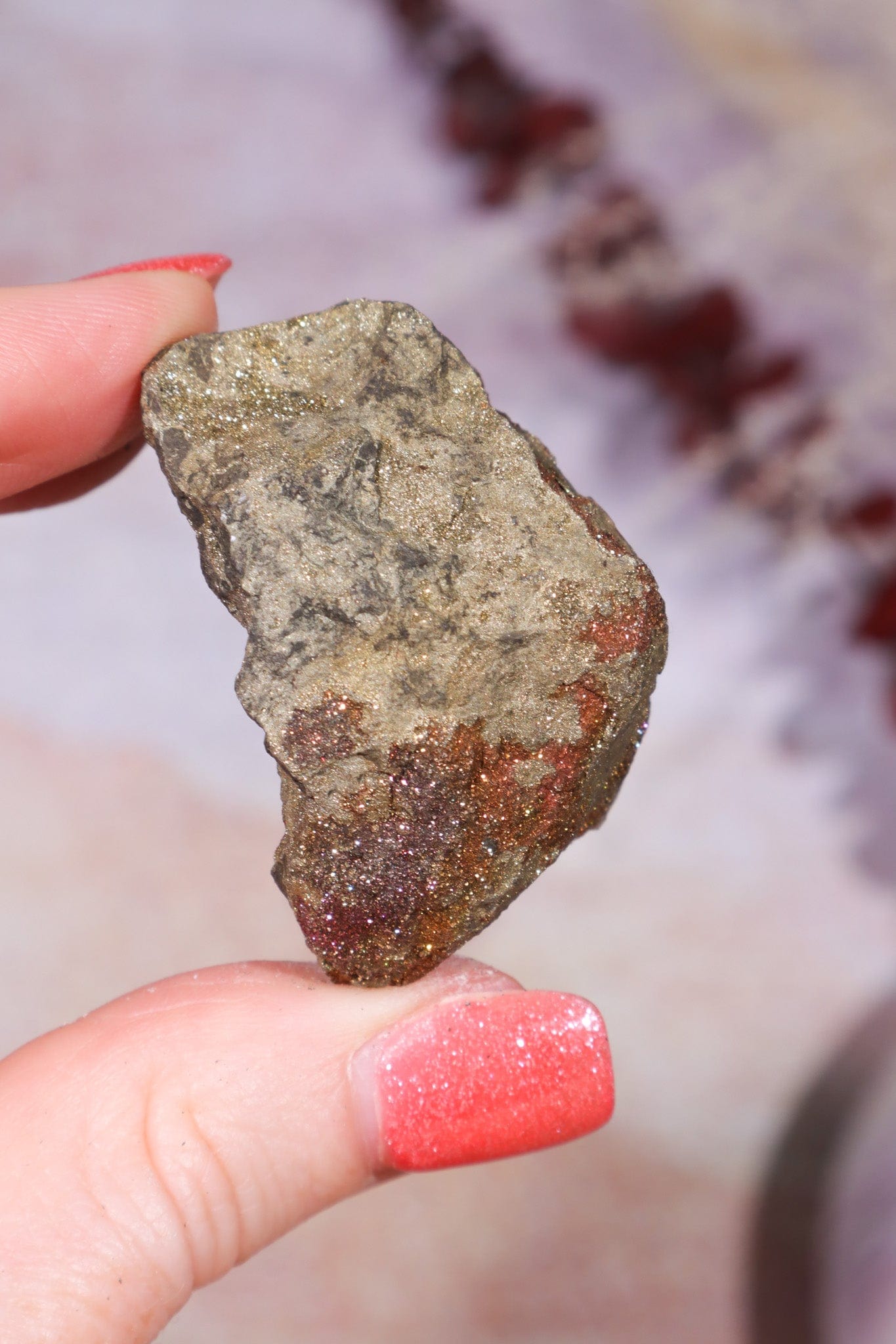 Permineralized Wood with Marcasite 37.1g Fossil Tali & Loz Crystals