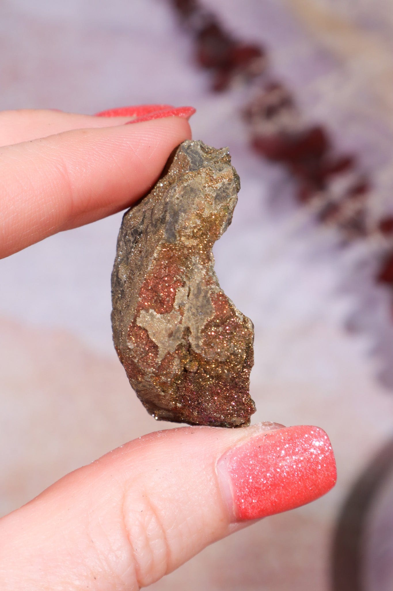 Permineralized Wood with Marcasite 37.1g Fossil Tali & Loz Crystals