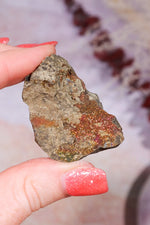 Permineralized Wood with Marcasite 37.1g Fossil Tali & Loz Crystals