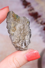 Permineralized Wood with Marcasite 38.8g Fossil Tali & Loz Crystals