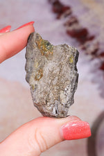 Permineralized Wood with Marcasite 38.8g Fossil Tali & Loz Crystals