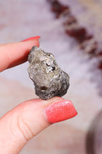 Permineralized Wood with Marcasite 38.8g Fossil Tali & Loz Crystals