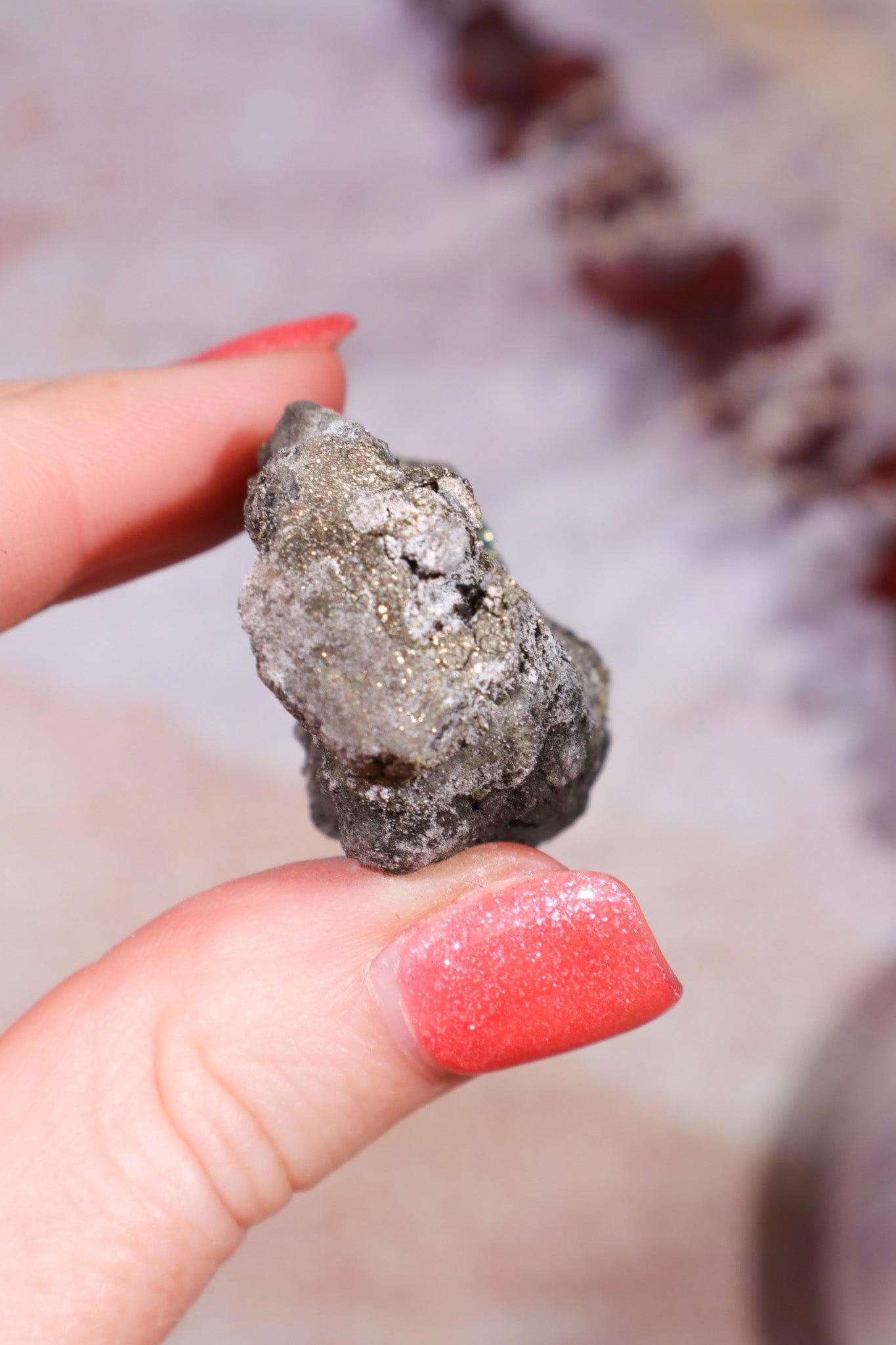 Permineralized Wood with Marcasite 38.8g Fossil Tali & Loz Crystals