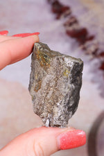 Permineralized Wood with Marcasite 38.8g Fossil Tali & Loz Crystals