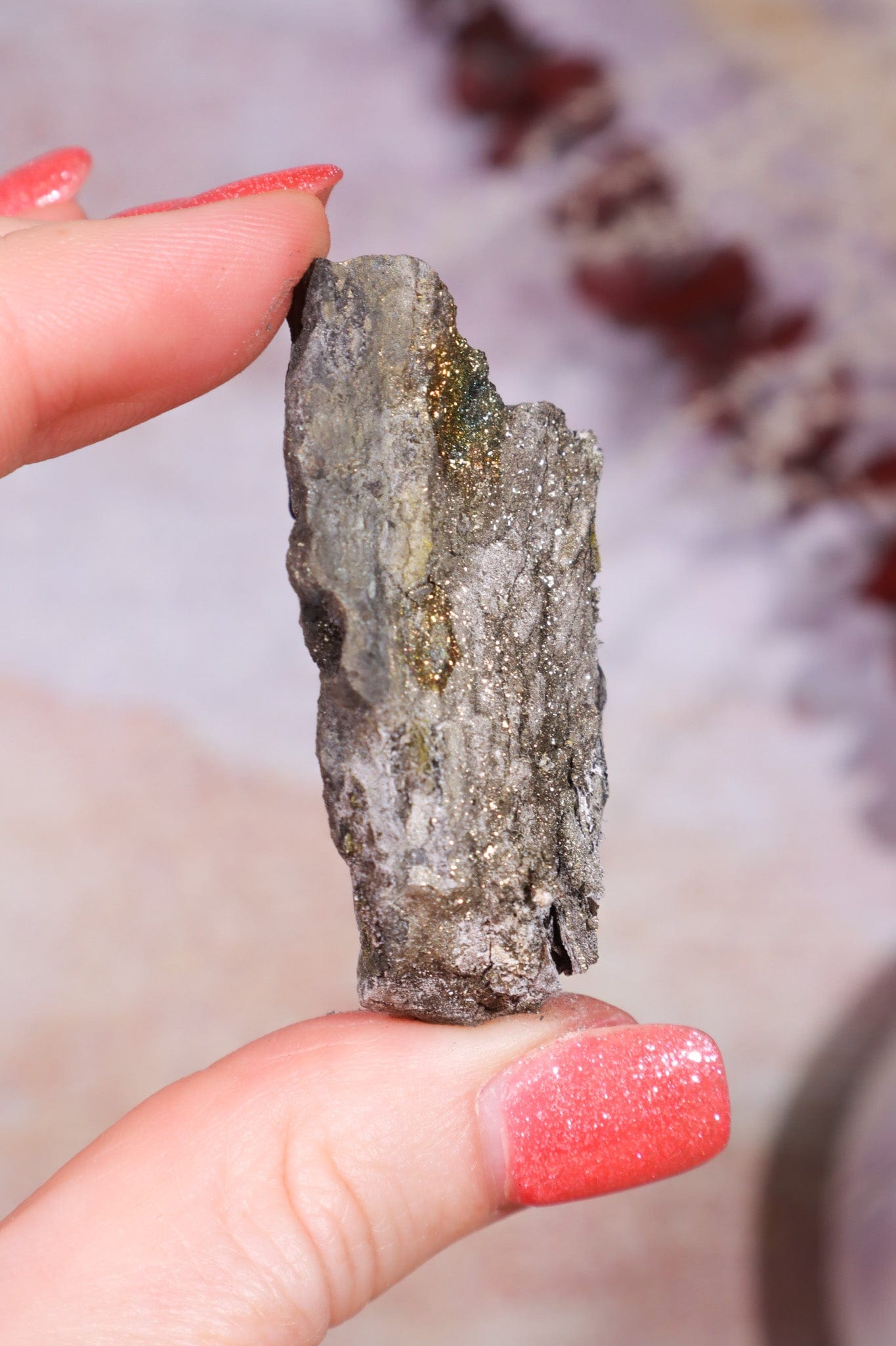 Permineralized Wood with Marcasite 38.8g Fossil Tali & Loz Crystals