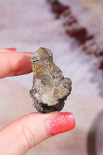 Permineralized Wood with Marcasite 38.8g Fossil Tali & Loz Crystals