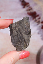 Permineralized Wood with Marcasite 38.8g Fossil Tali & Loz Crystals