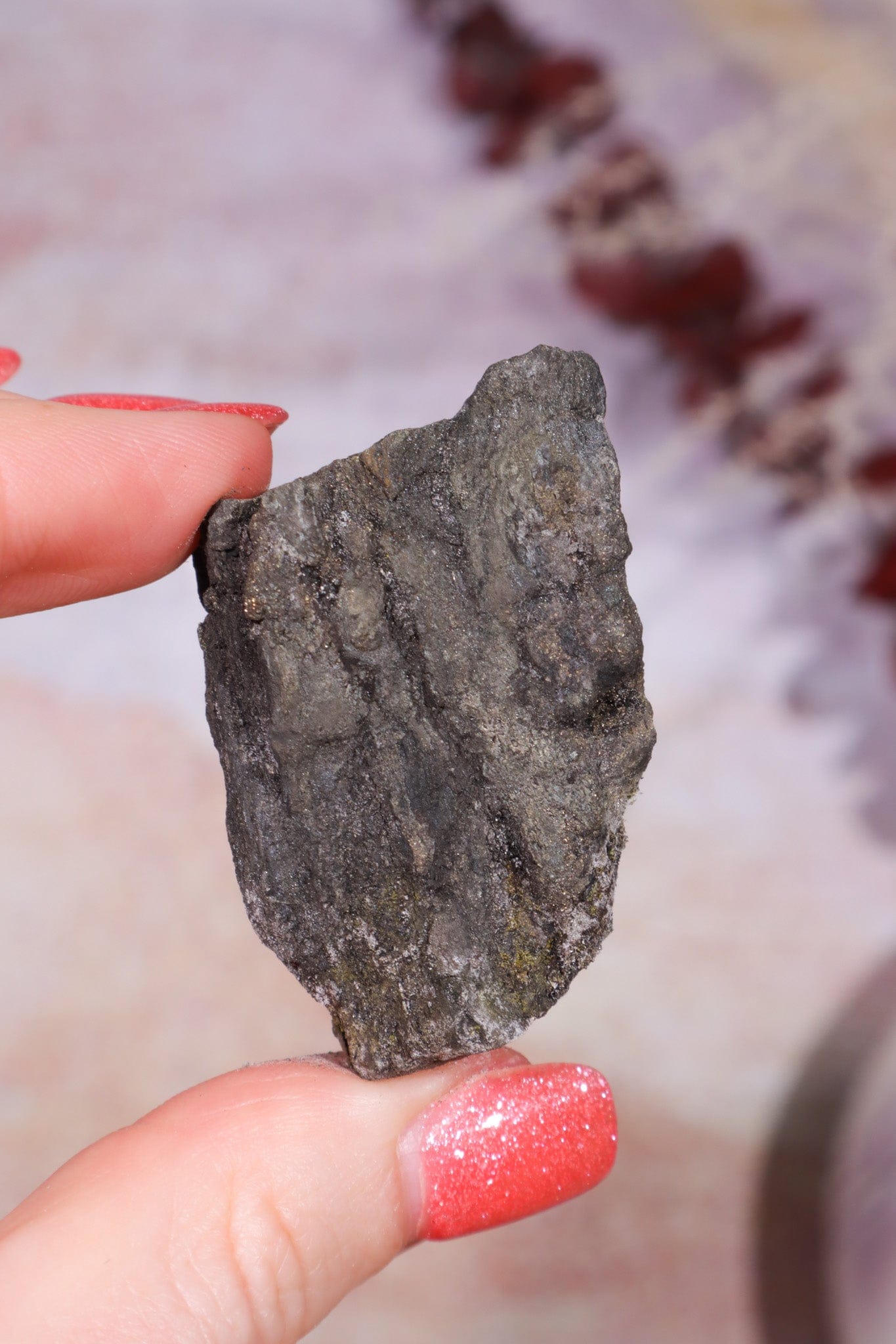 Permineralized Wood with Marcasite 38.8g Fossil Tali & Loz Crystals