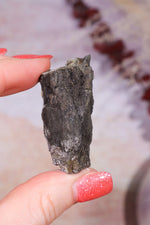 Permineralized Wood with Marcasite 38.8g Fossil Tali & Loz Crystals