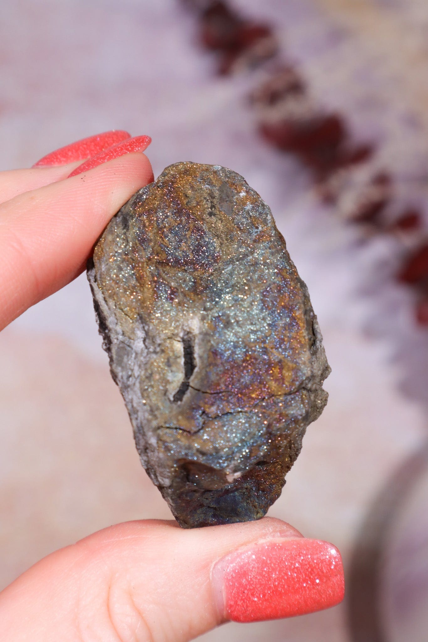 Permineralized Wood with Marcasite 59.8g Fossil Tali & Loz Crystals