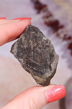 Permineralized Wood with Marcasite 59.8g Fossil Tali & Loz Crystals