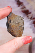 Permineralized Wood with Marcasite 59.8g Fossil Tali & Loz Crystals