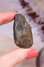 Permineralized Wood with Marcasite 59.8g Fossil Tali & Loz Crystals