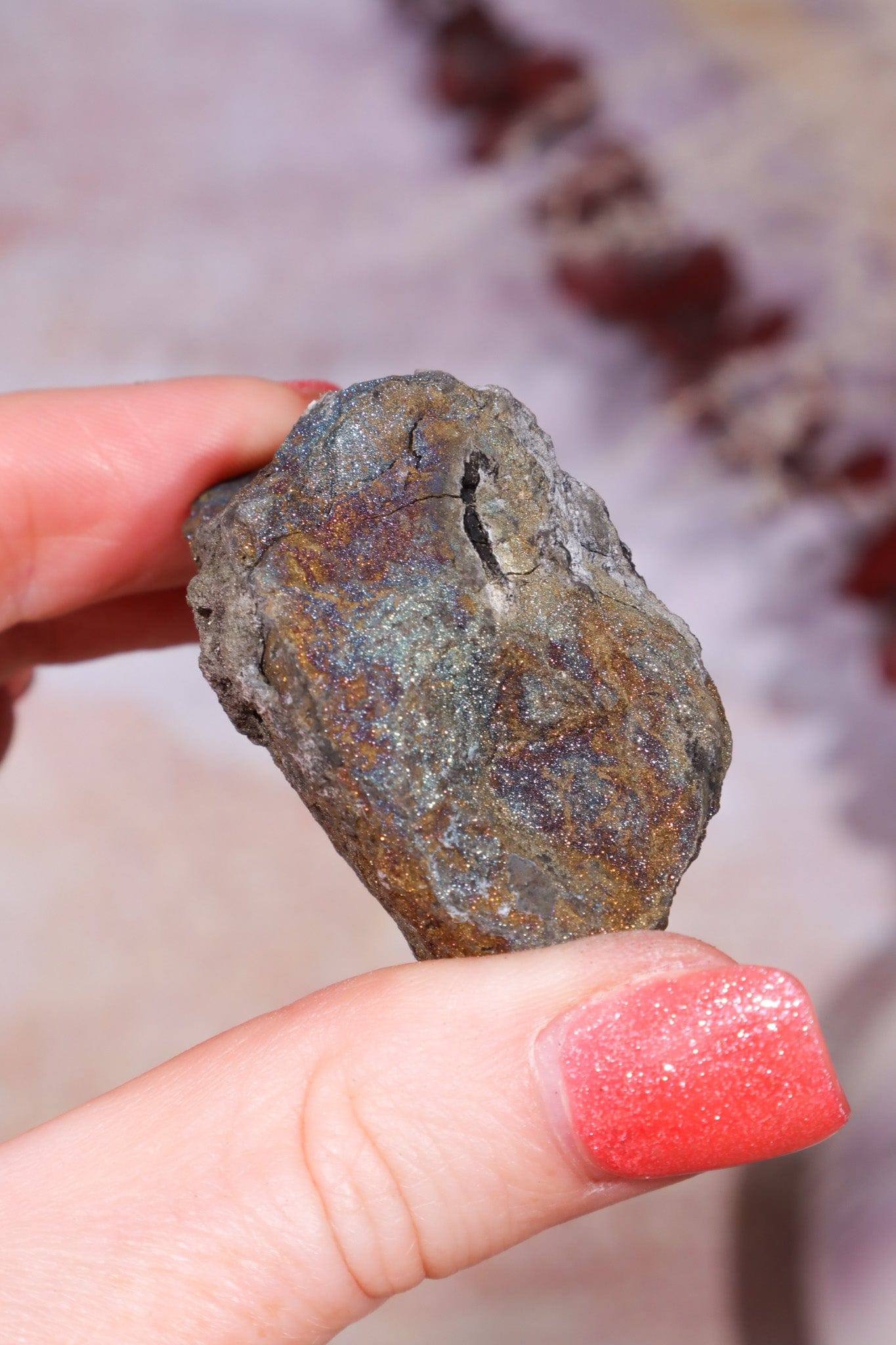 Permineralized Wood with Marcasite 59.8g Fossil Tali & Loz Crystals