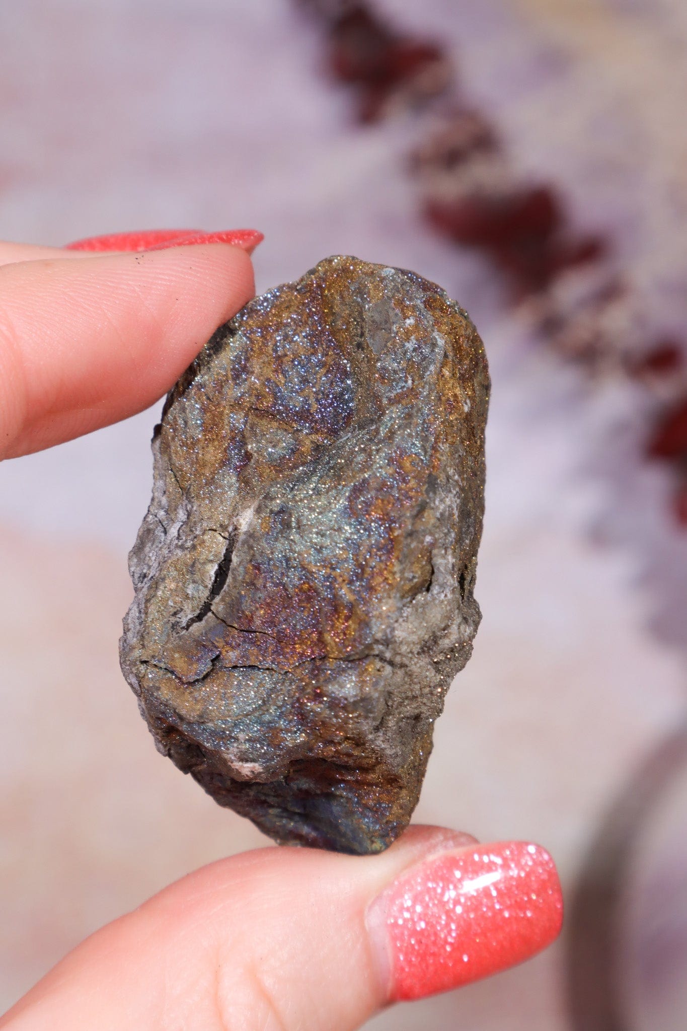 Permineralized Wood with Marcasite 59.8g Fossil Tali & Loz Crystals