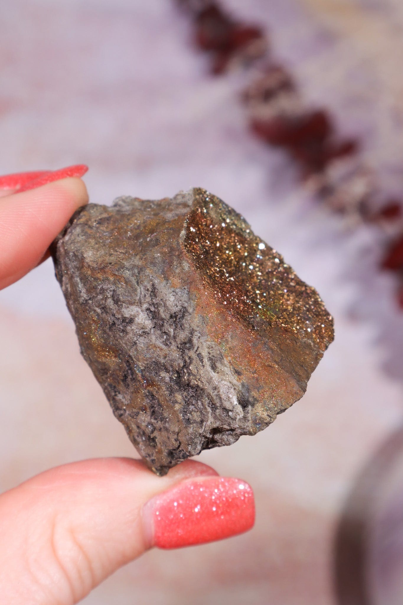 Permineralized Wood with Marcasite 69.4g Fossil Tali & Loz Crystals