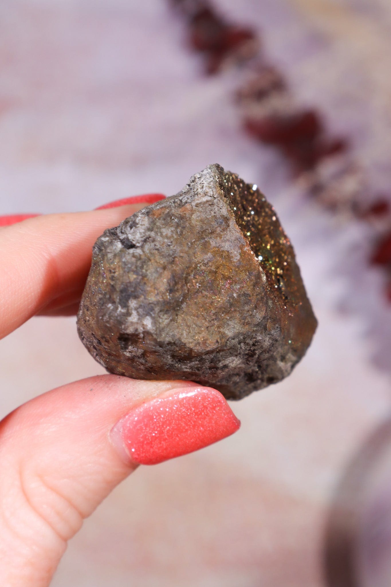 Permineralized Wood with Marcasite 69.4g Fossil Tali & Loz Crystals