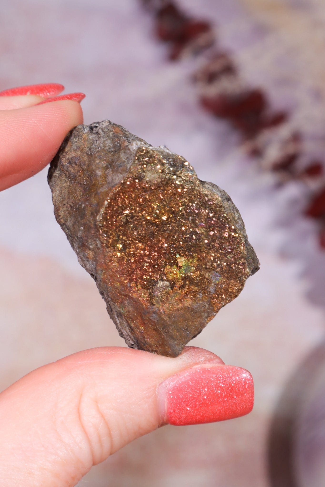 Permineralized Wood with Marcasite 69.4g Fossil Tali & Loz Crystals