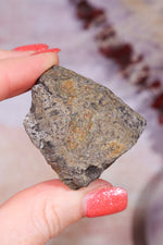 Permineralized Wood with Marcasite 69.4g Fossil Tali & Loz Crystals