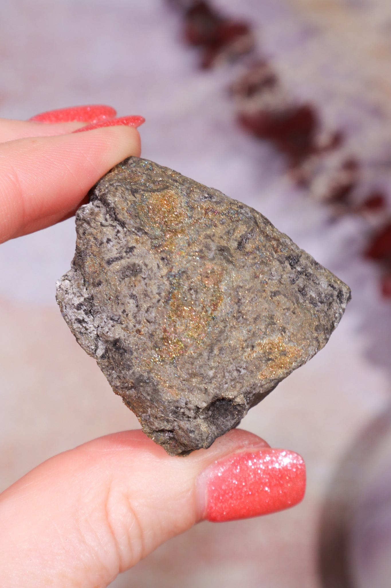 Permineralized Wood with Marcasite 69.4g Fossil Tali & Loz Crystals