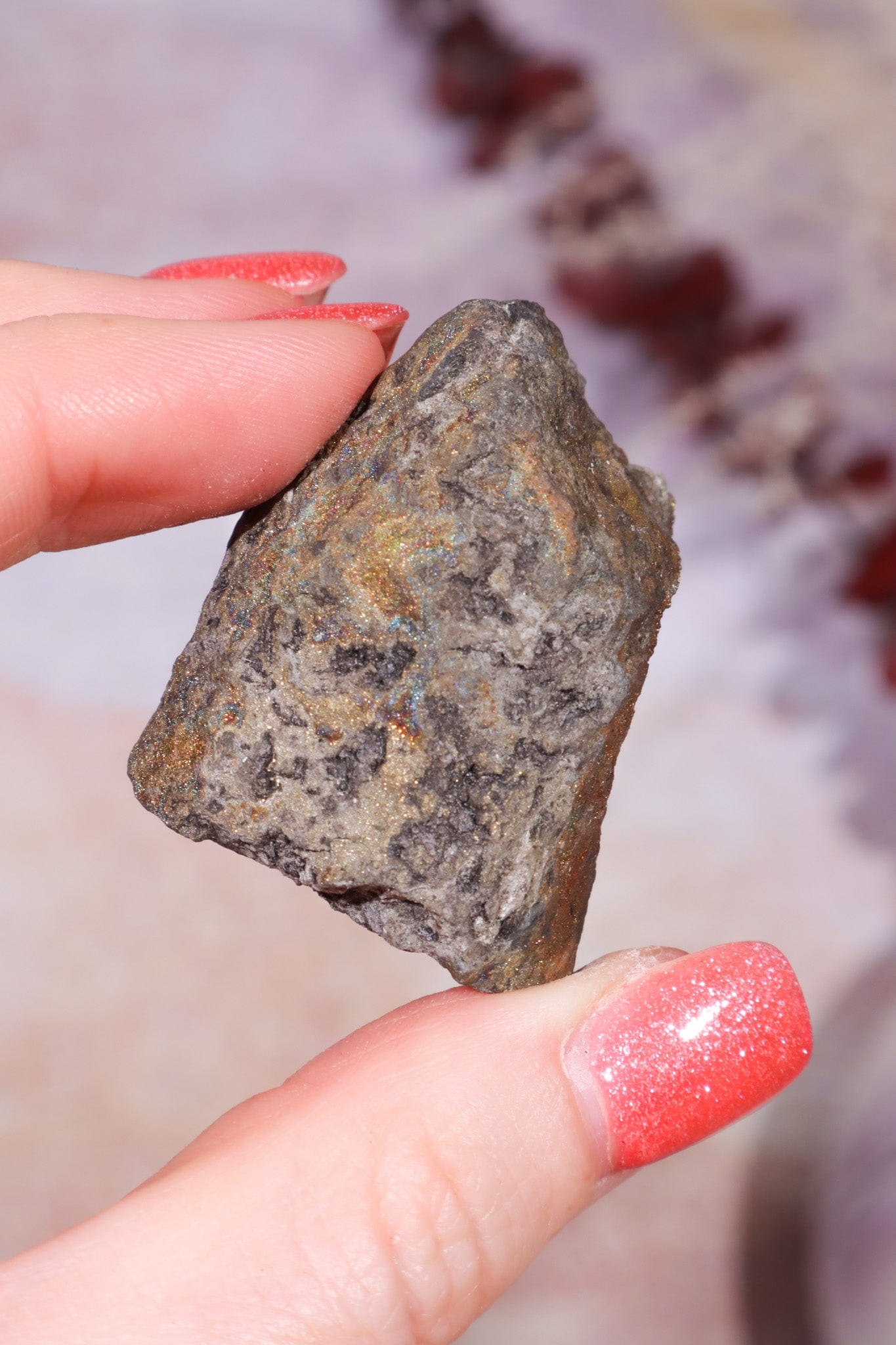 Permineralized Wood with Marcasite 69.4g Fossil Tali & Loz Crystals