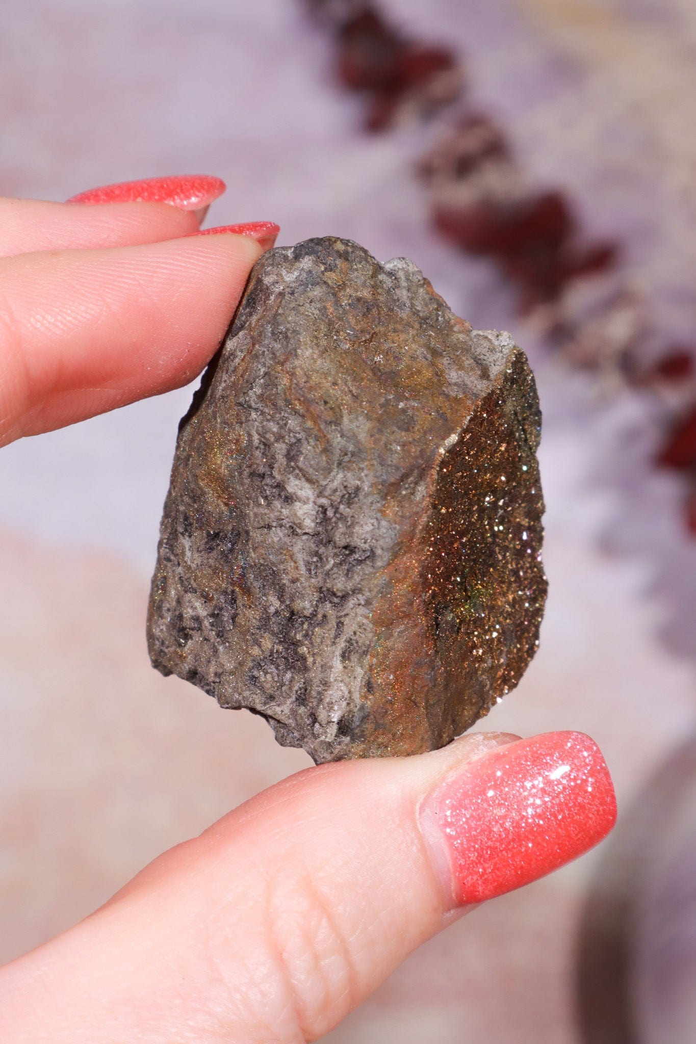 Permineralized Wood with Marcasite 69.4g Fossil Tali & Loz Crystals