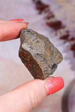 Permineralized Wood with Marcasite 69.4g Fossil Tali & Loz Crystals