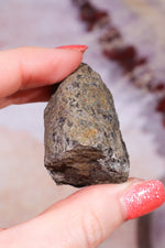 Permineralized Wood with Marcasite 69.4g Fossil Tali & Loz Crystals