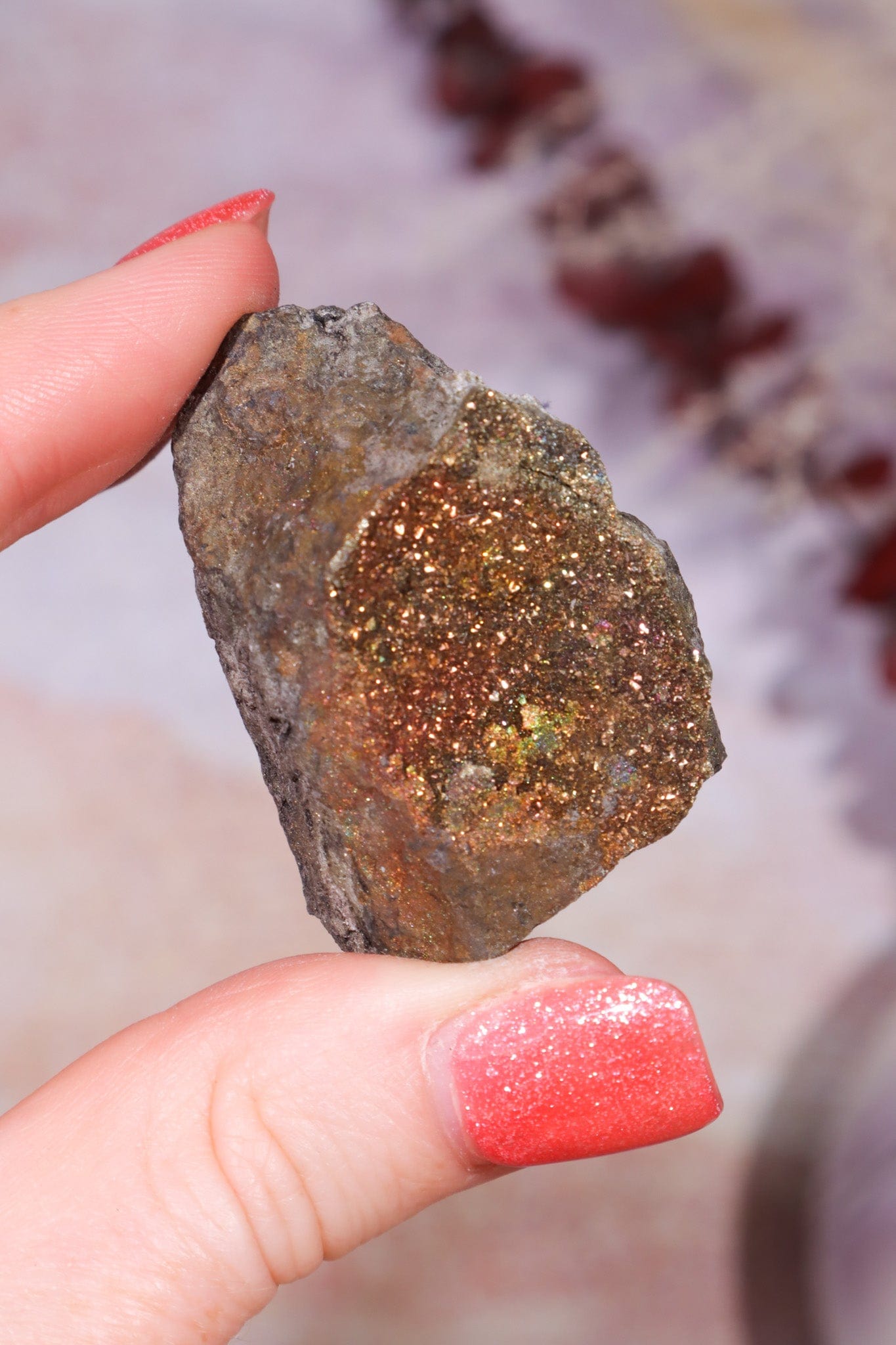 Permineralized Wood with Marcasite 69.4g Fossil Tali & Loz Crystals