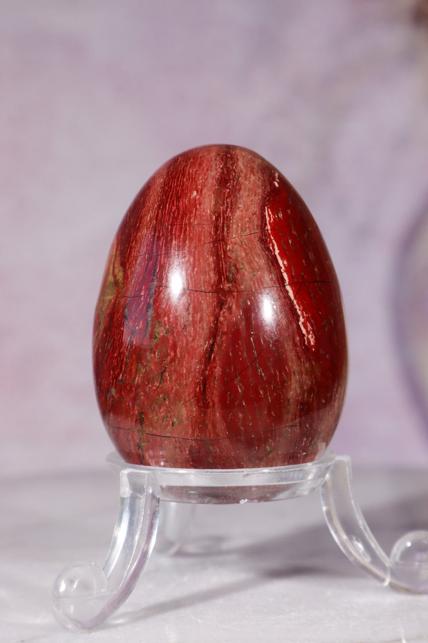Petrified Wood Egg 5cm, India Eggs Tali & Loz Crystals