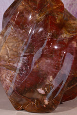 Petrified Wood Flame | XL Statement Piece | Madagascar Flame Tali & Loz Crystals