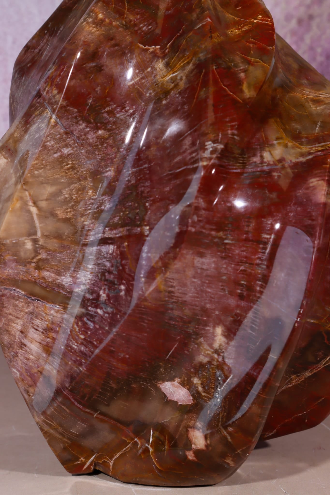 Petrified Wood Flame | XL Statement Piece | Madagascar Flame Tali & Loz Crystals