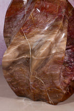Petrified Wood Flame | XL Statement Piece | Madagascar Flame Tali & Loz Crystals