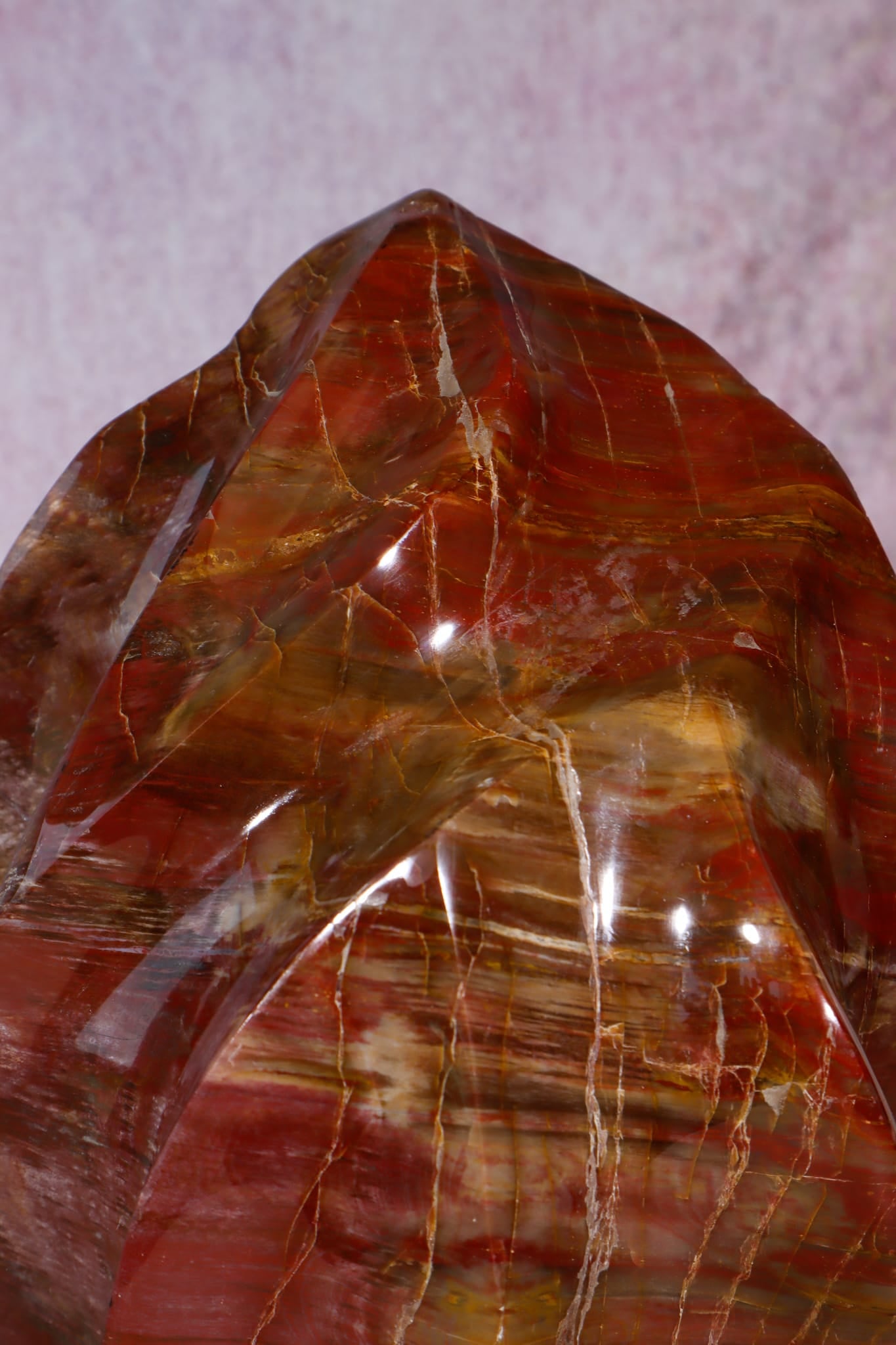 Petrified Wood Flame | XL Statement Piece | Madagascar Flame Tali & Loz Crystals