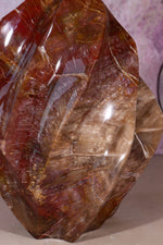 Petrified Wood Flame | XL Statement Piece | Madagascar Flame Tali & Loz Crystals