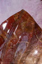 Petrified Wood Flame | XL Statement Piece | Madagascar Flame Tali & Loz Crystals